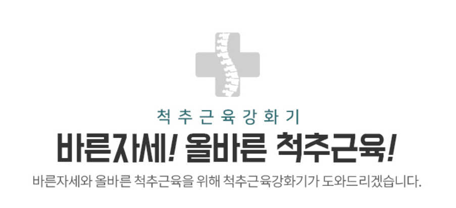 척추근육강화기 이미지