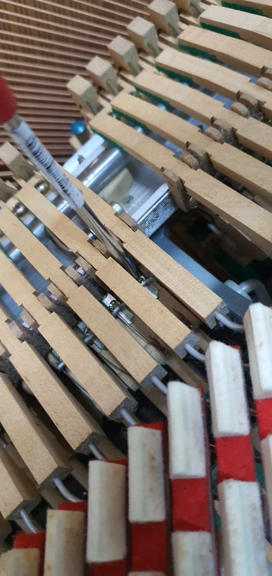 군산지곡초등학교 이미지