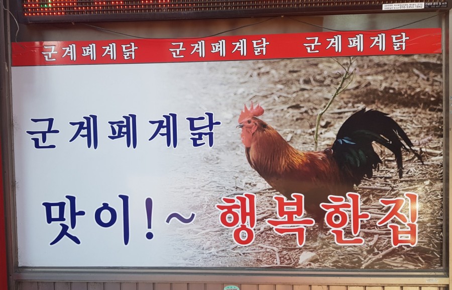 군계폐계닭(평택대학교점) 이미지