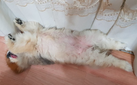 잠솔 이미지