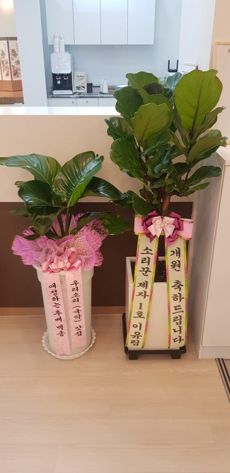 정다운국악 이미지