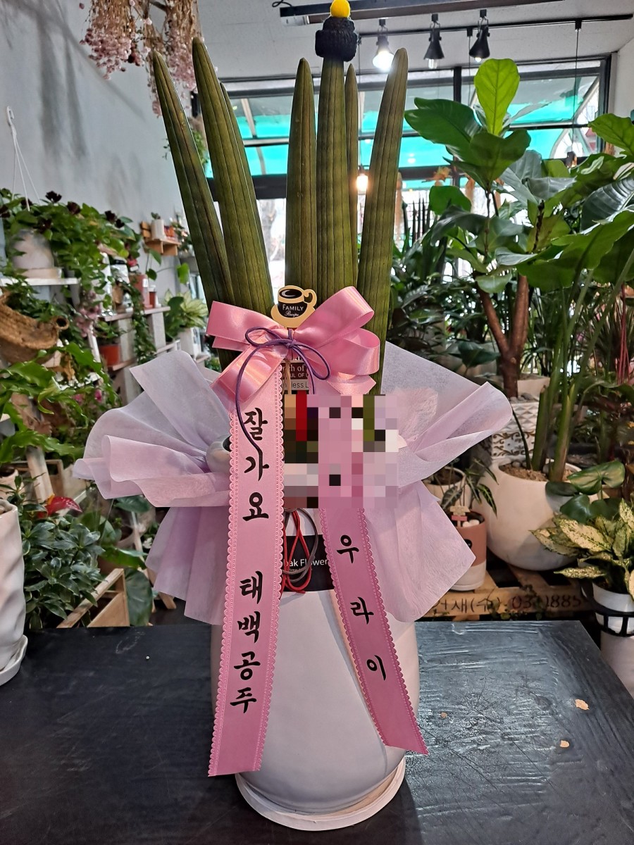 호박꽃화원 이미지