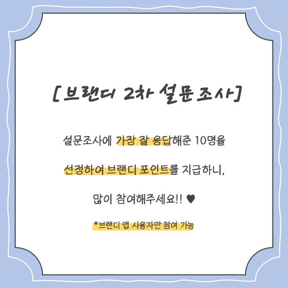 브랜디즈 이미지