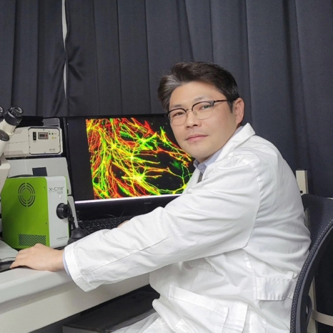 국제정원석 이미지