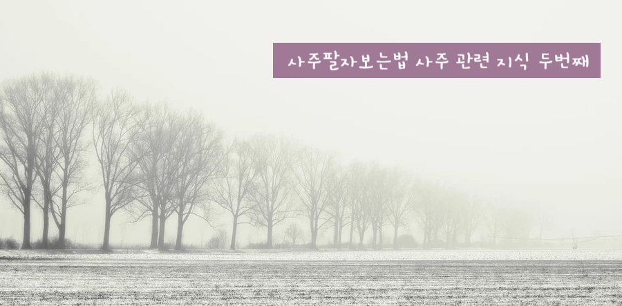 나라여행사주 이미지