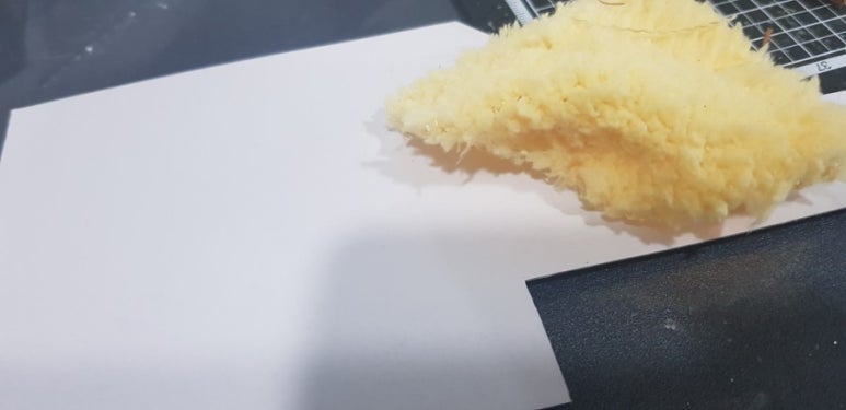 캔디캣 이미지