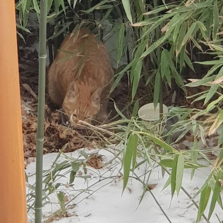 한끼라도 이미지