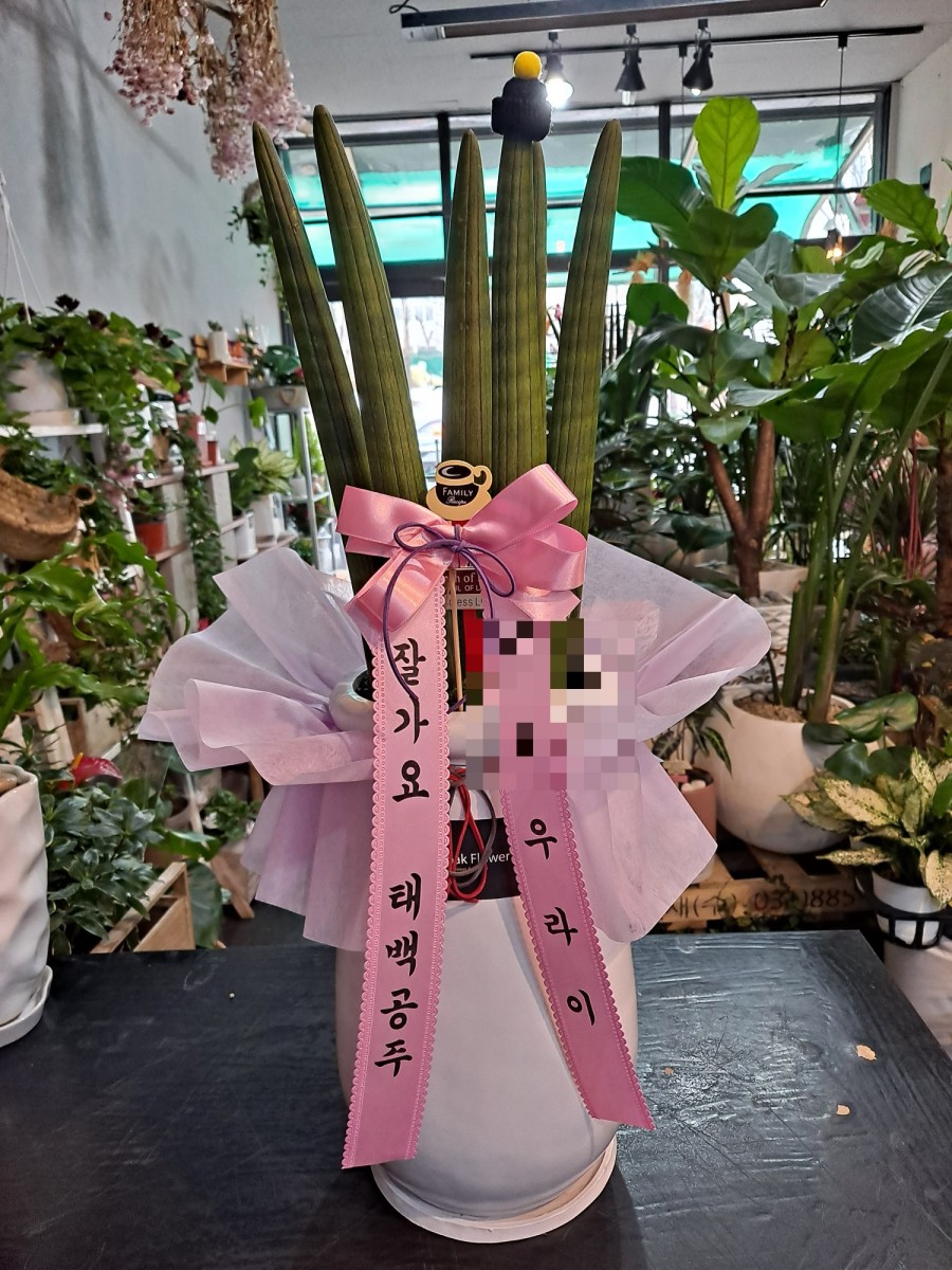 호박꽃화원 이미지