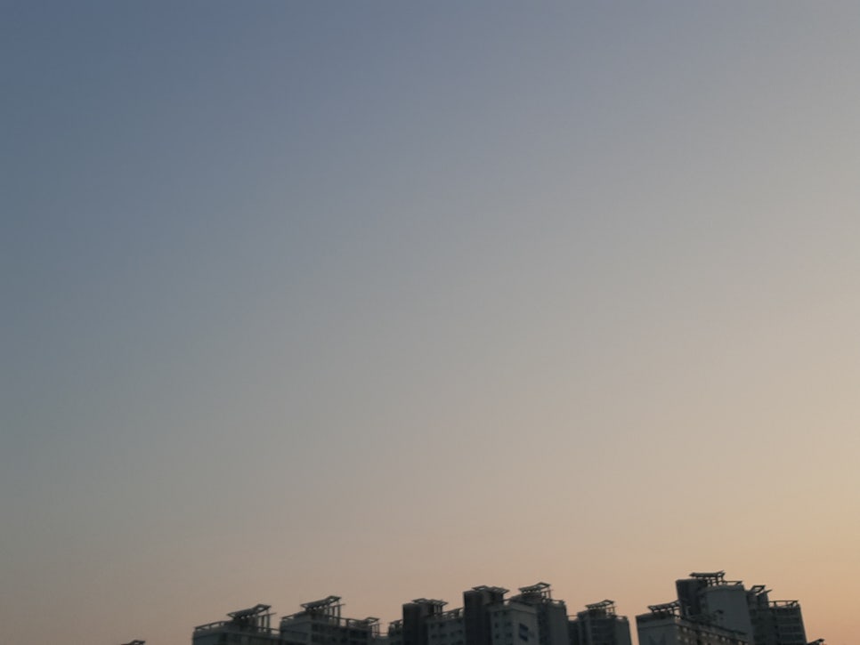 일등식품 이미지