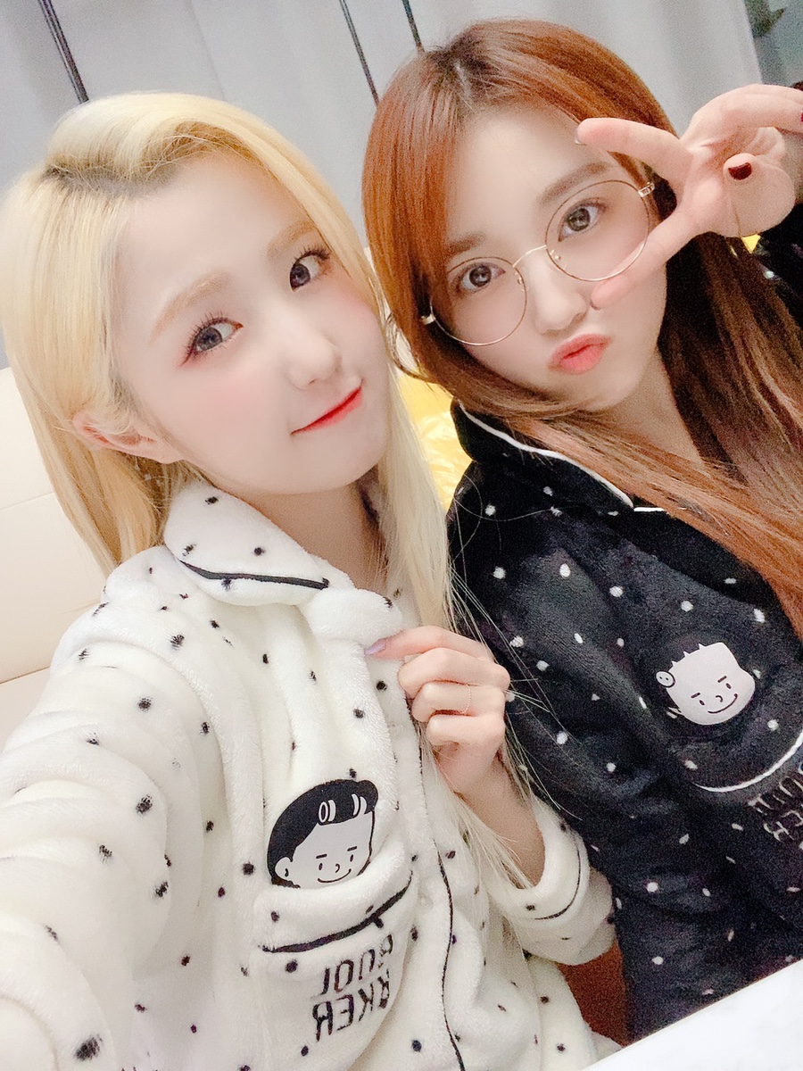 브이요거트 이미지