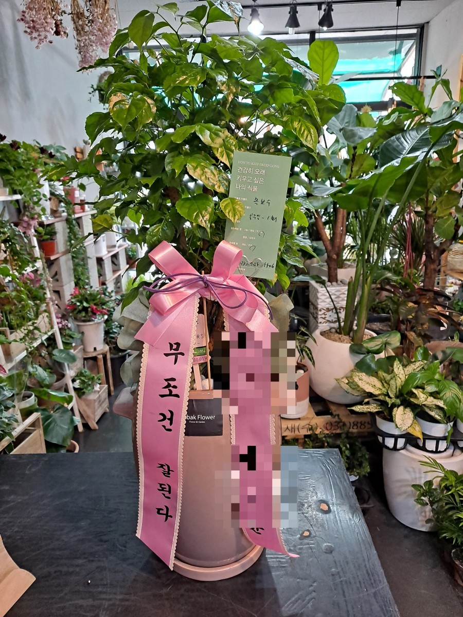 호박꽃화원 이미지