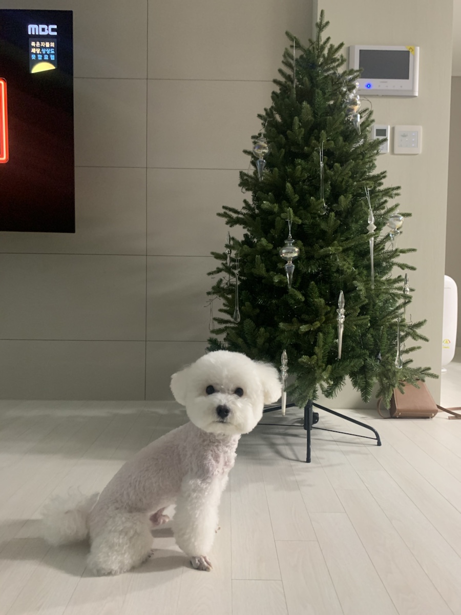광명슈퍼 이미지