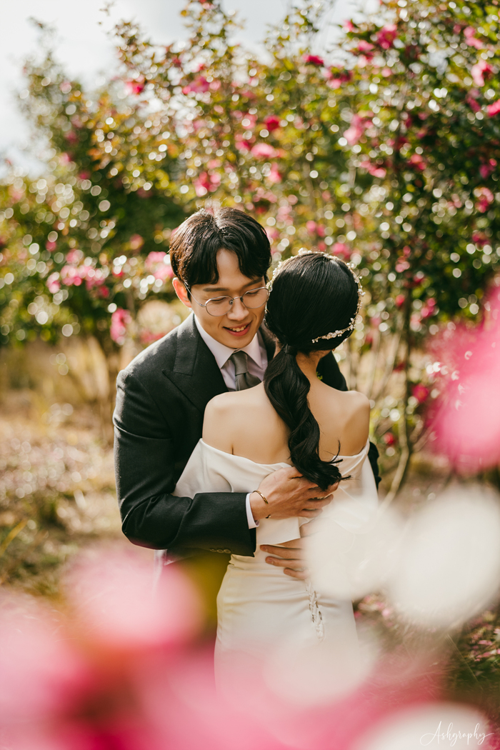 제주그래피 이미지