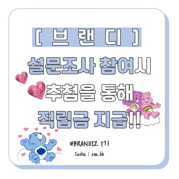 브랜디즈 이미지