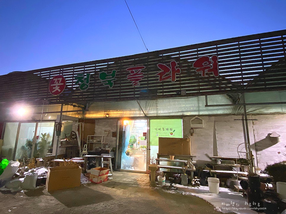 기버플라워 이미지