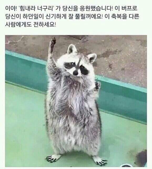(주)단정바이오 이미지