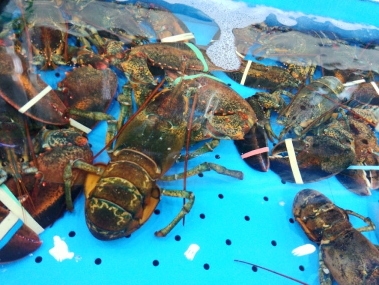 웰빙수산 이미지