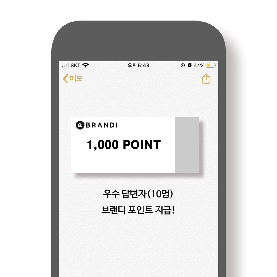 브랜디즈 이미지