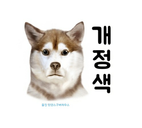 망양스쿠버하우스 이미지