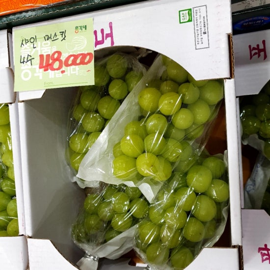 총각네수지 이미지