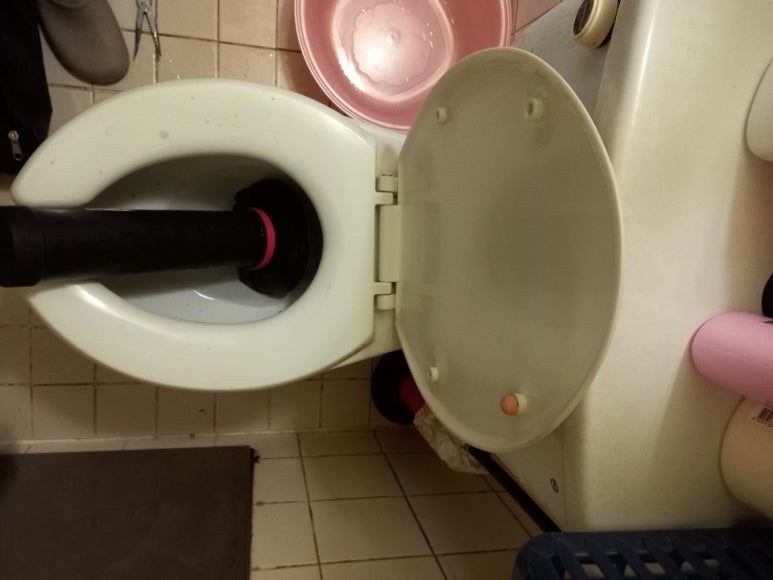 변기막힘 이미지