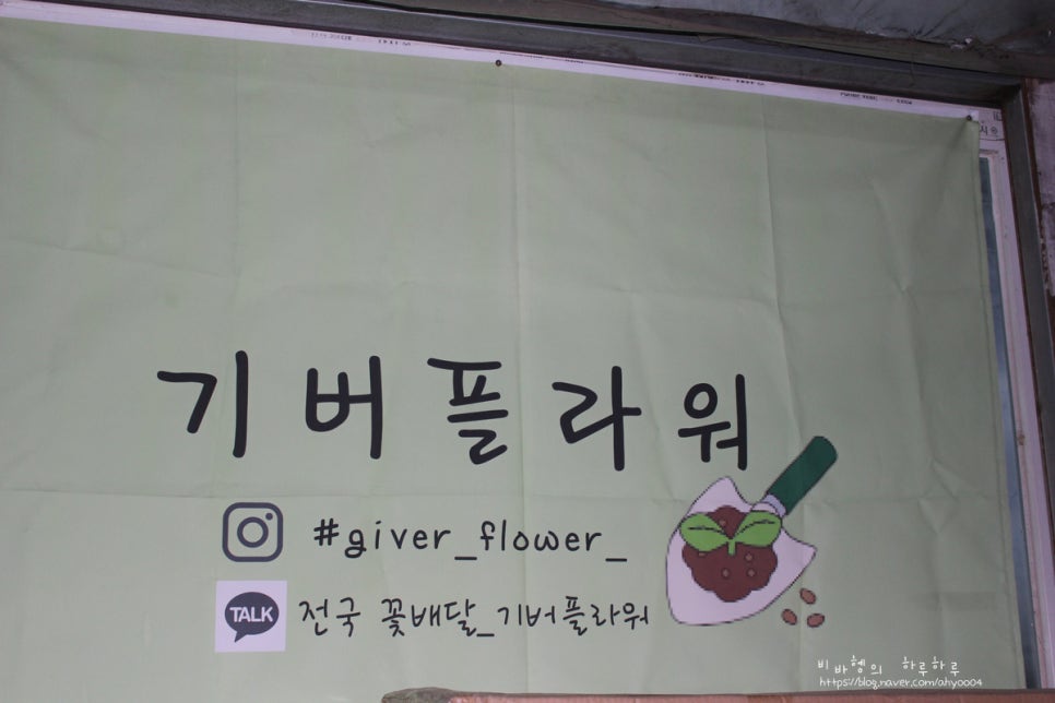 기버플라워 이미지