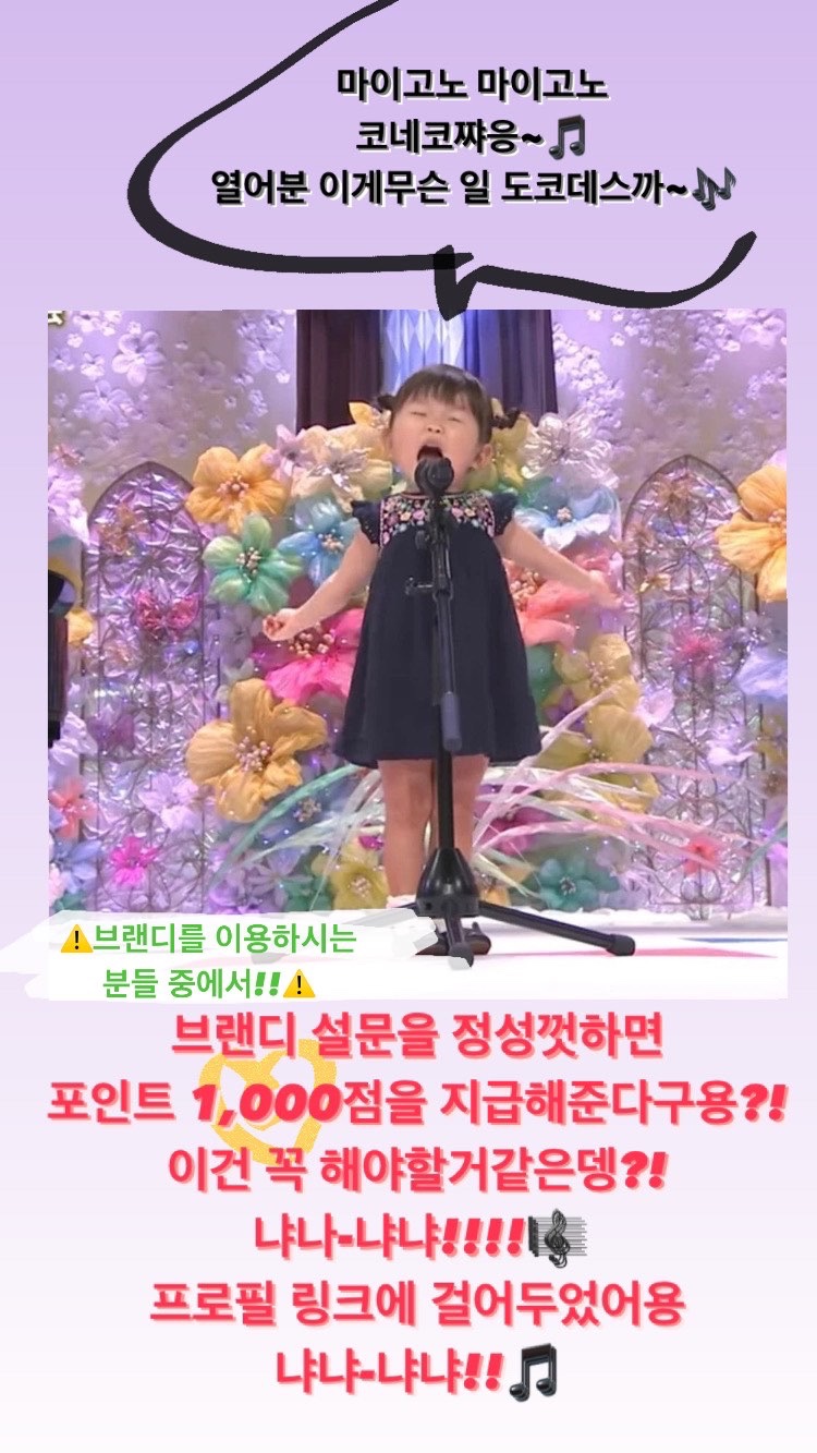 브랜디즈 이미지