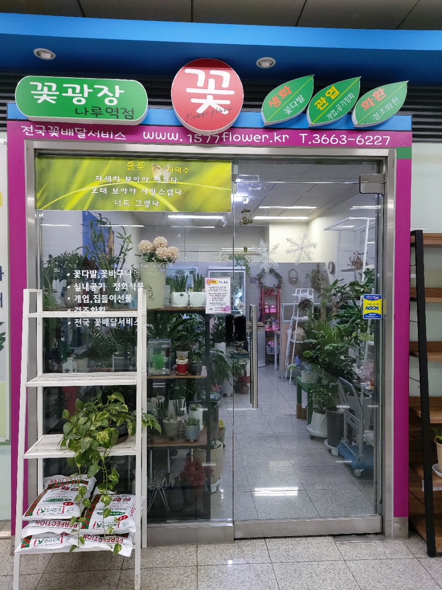 마곡꽃광장 이미지