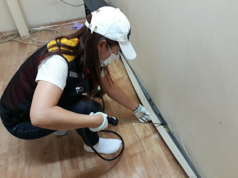 그린방역 이미지