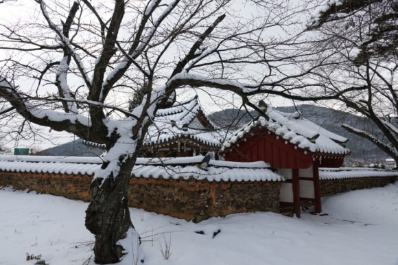 삼호정 이미지