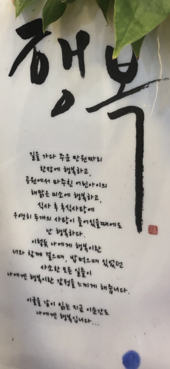 와이에스피 이미지