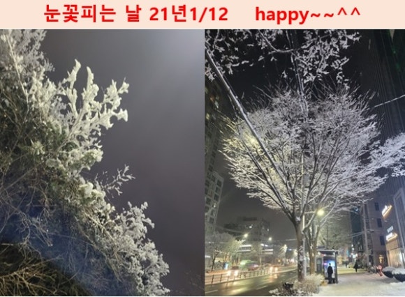 광명대한간호학원 이미지