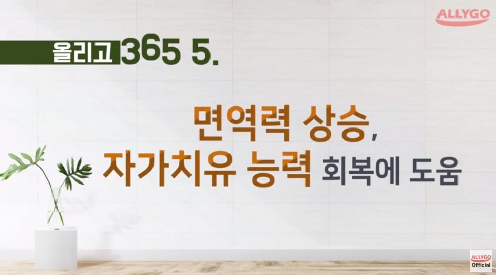 올리고365 이미지