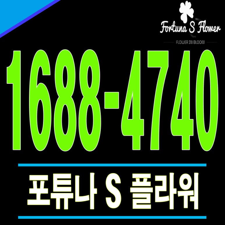 포튜나에스플라워 이미지