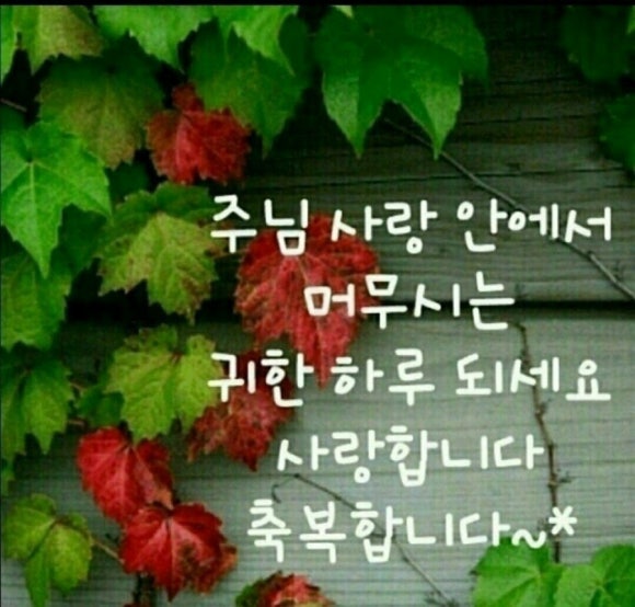라이딩카페 이미지