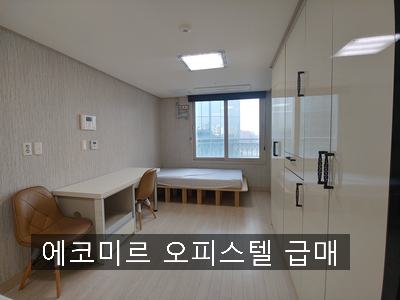 에코미르 이미지