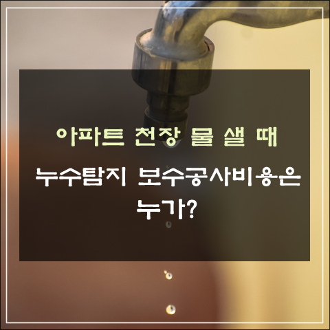 법무법인밝음 이미지