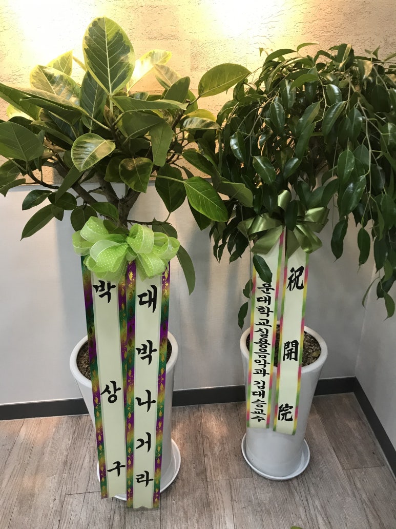 올댓실용음악학원 이미지