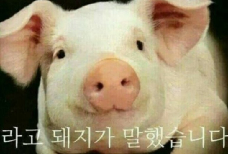 빈체로 파스타 이미지