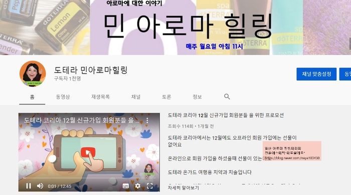 도테라코리아(유) 이미지