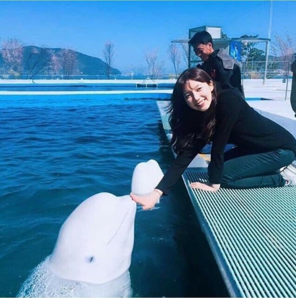 태인치킨 이미지