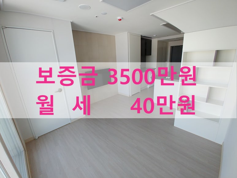 주식회사 라온베이 이미지