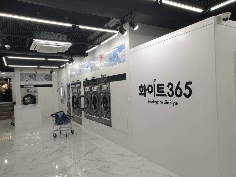 화이트365청주 이미지