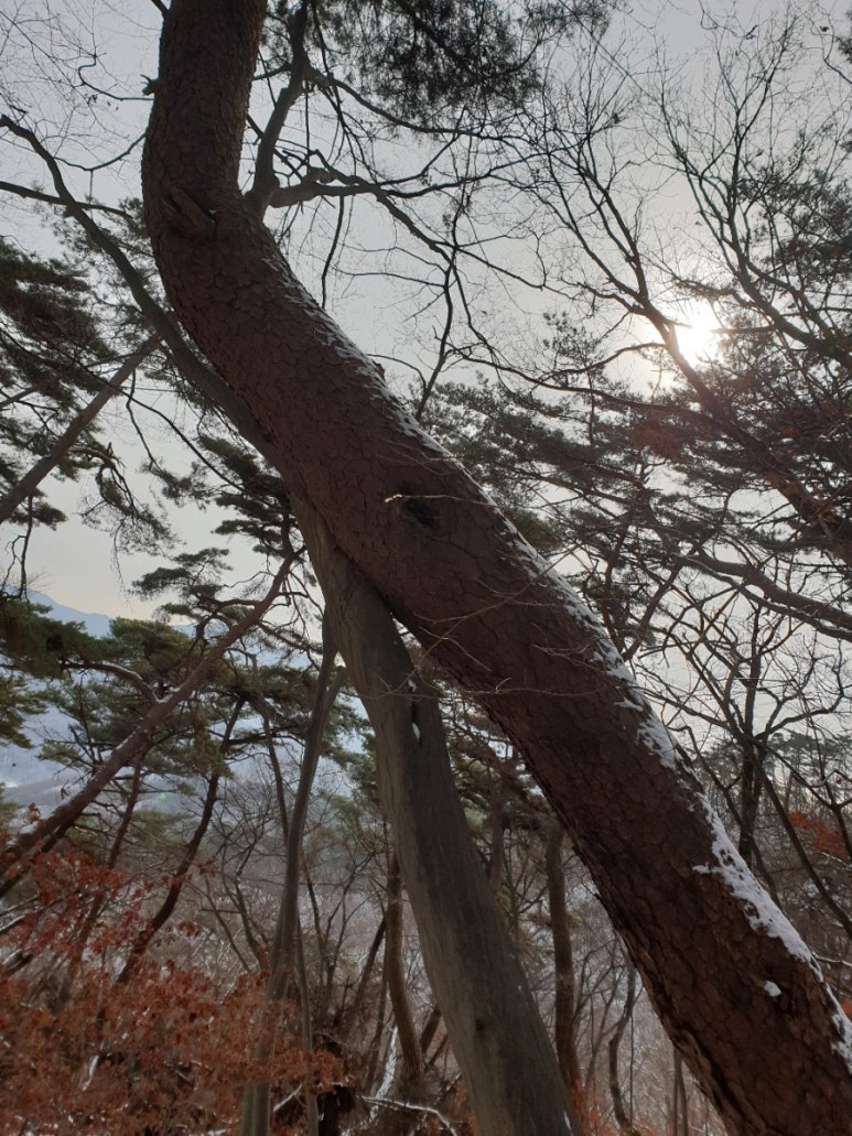 나2 이미지