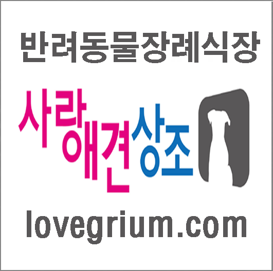 속초동해장례식장 이미지