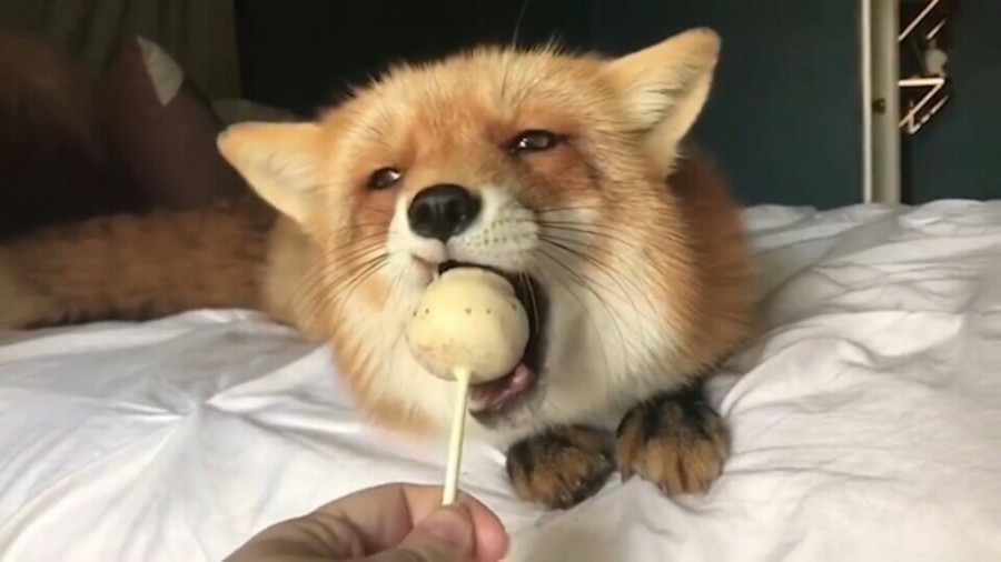 목포석유 이미지