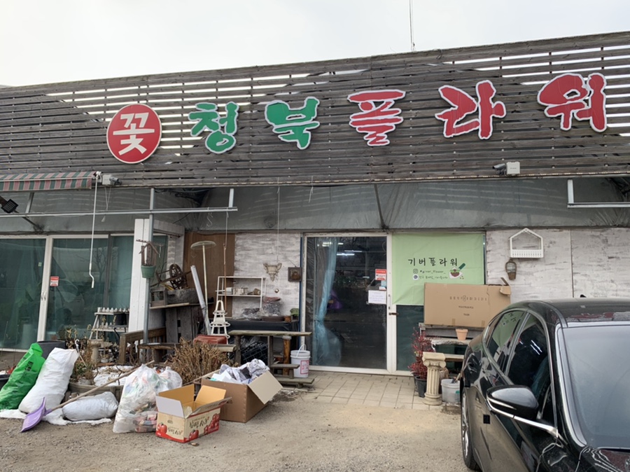 기버플라워 이미지