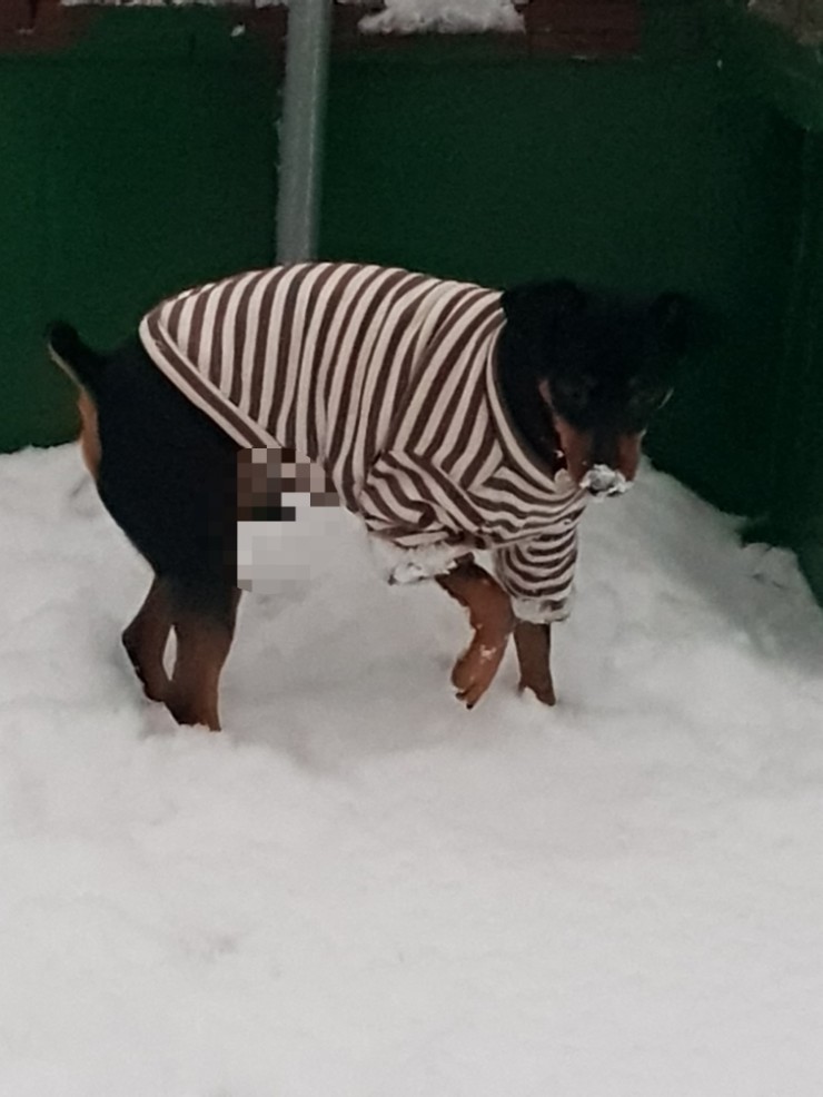 호식이두마리치킨 상봉점 이미지