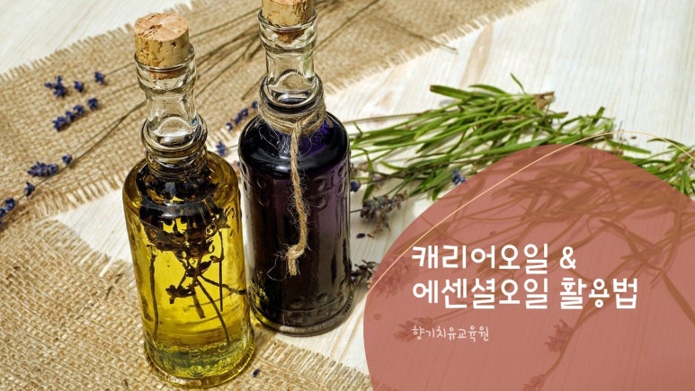 향기치유교육원 이미지
