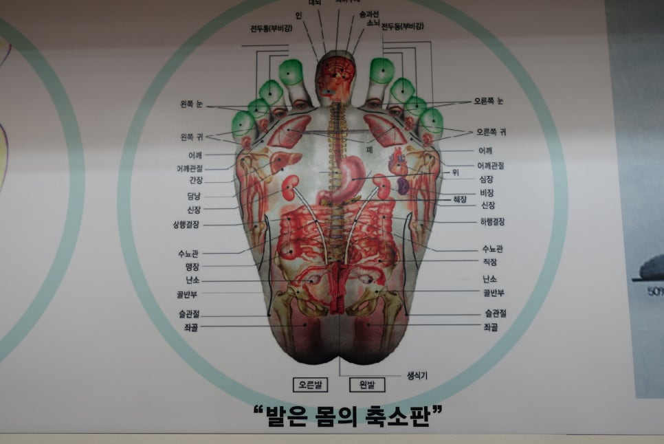 기능성신발 이미지